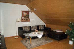 Wohnzimmer mit Echtleder Couch